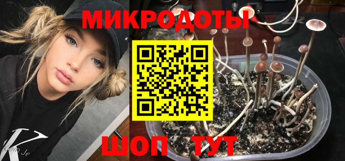 Псилоцибиновые грибы мухоморы Амурск