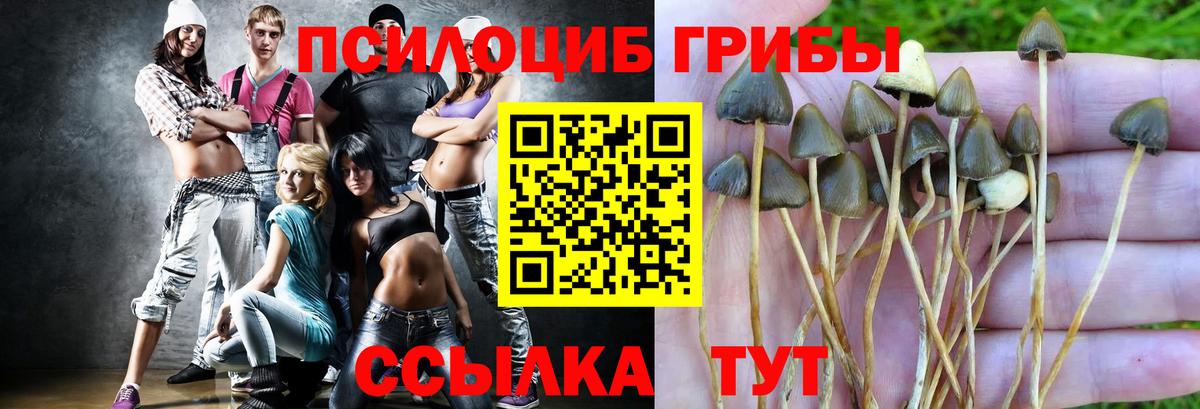 Галлюциногенные грибы GOLDEN TEACHER  Вход с VPN  Амурск 